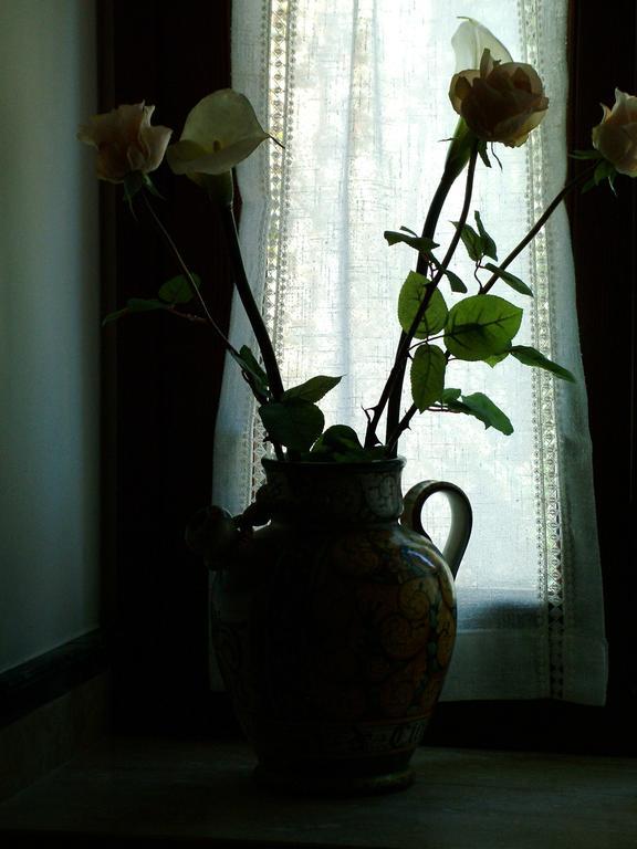 La Corte Tolentino Esterno foto